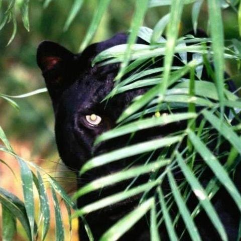 curieuse !!!