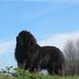 Zak otrb ๐ (@zaknewf) Twitter profile photo Zak otrb ๐ (@zaknewf) Twitter profile photo