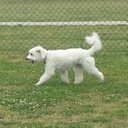 Shannon Blank - @shannonlovespsp - Twitter