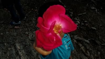 kamalak_burak's profile picture. 