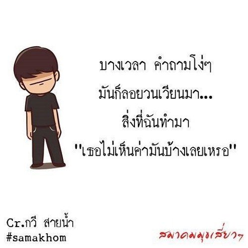 Nolove