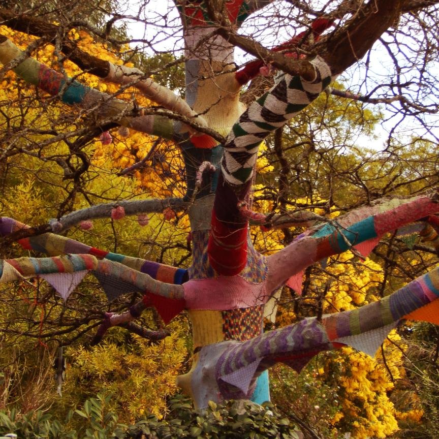 Pansyelv's profile picture. Salmantina por nacimiento, gaditana por adopción.
Montaraz de Arda.
Bióloga entre el estar y el ir.