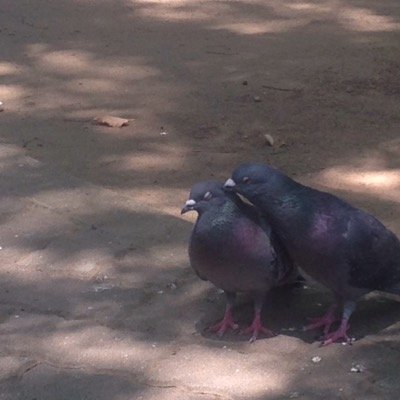 趣味：スキンダイビング、競艇、ポーカー、旅行、etc... 旅行や散歩で見つけたものの写真や、ポーカーや競馬、競艇の話題、世間話をメインにつぶやいていきます。 @gensousouzouのサークルメンバーです。 man10Server Helper : keiyousen