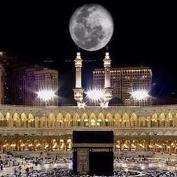 Mowp105's profile picture. 