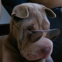 Jesus Alcubierre (@jesulinn) 's Twitter Profile