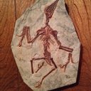 Walt Hendrickson - @WaltHendrickson - Twitter