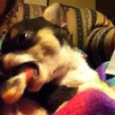 Erin Stacey - @mestacey - Twitter