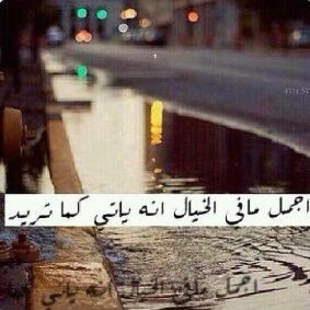 امي ولك في هذا اليوم دعوه ؛
حفظك الله من كل سُوء يا جنتِي ..'