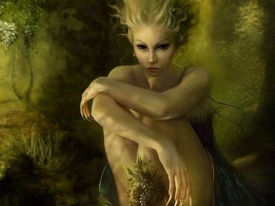 fairylette314's profile picture. 