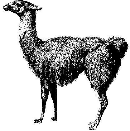 netllama's profile picture. Travel as far as you are able, to what is unfamiliar

Find me on Mastodon: https://t.co/zi6nfdq8Mm