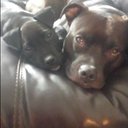 Ricky Vanover - @RickyVanover - Twitter