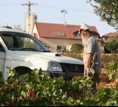 bradfordaltonH's profile picture. 