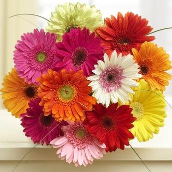 Flowers, Inc., your trusted local florist in Athens, has exquisite flower arrangements and other floral gifts which are professionally designed by our staff.
