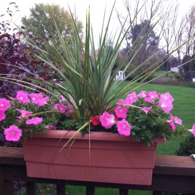 ChristmannMert's profile picture. 