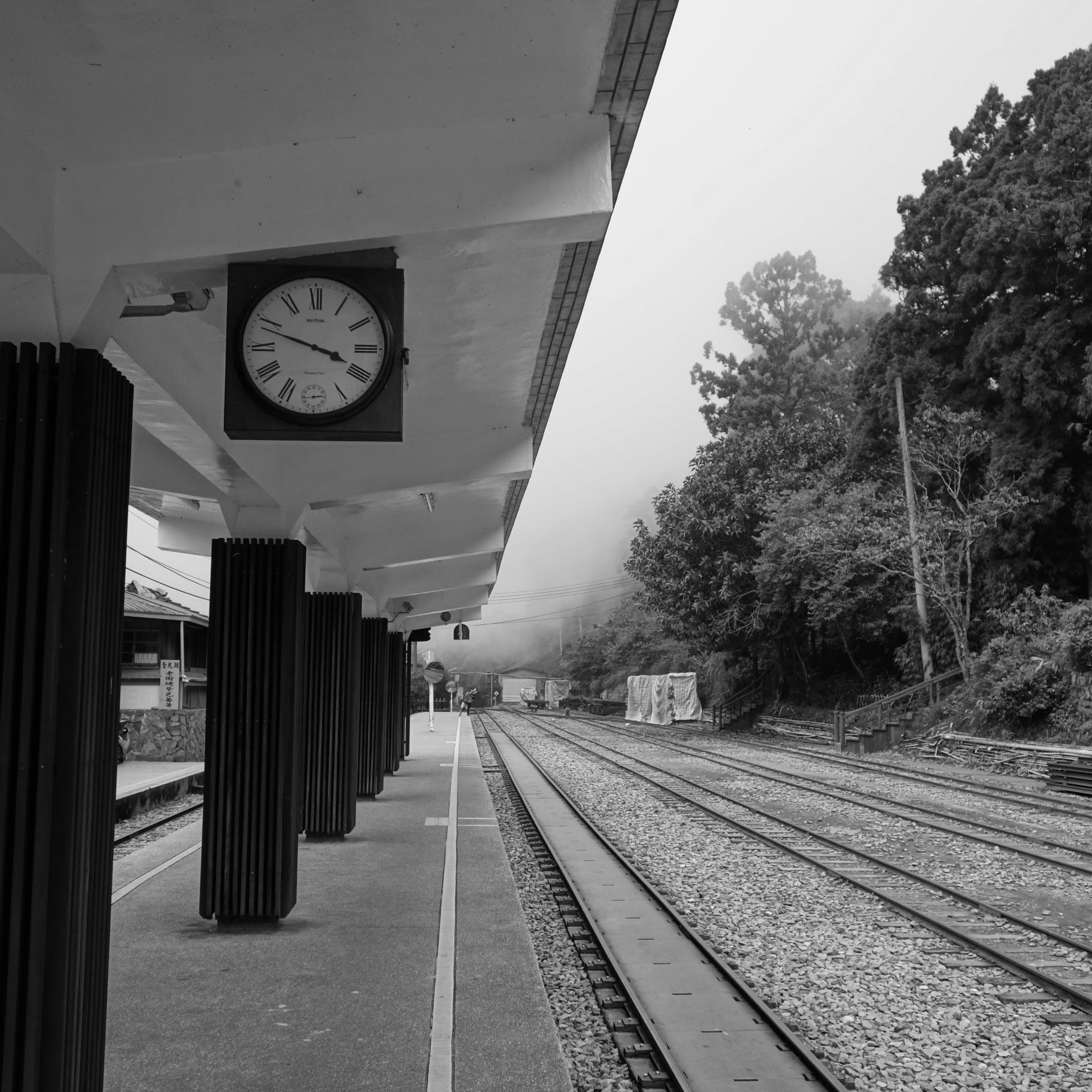 passerinworld's profile picture. 