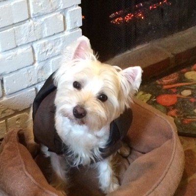 Nikburdett's profile picture. Blessed Daily!