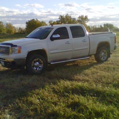 WaldnerPeter's profile picture. 