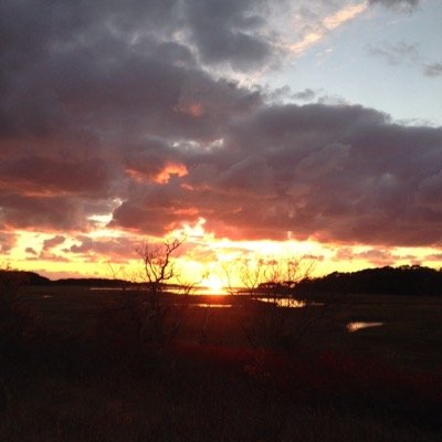 mollystev's profile picture. 