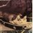 Junecalhoun1116's avatar