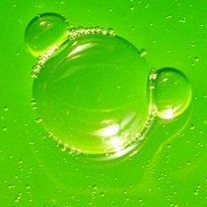 AlgaBloom's profile picture. Creating diatom algae blooms in lakes and waterways to enhance healthy waterways.