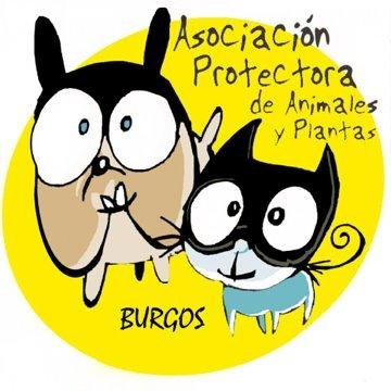 Rescatamos animales y les cuidamos en nuestro refugio hasta que encontramos los hogares adecuados para ellos. Concienciación y esterilización.