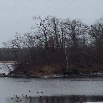 2222nwoppc's profile picture. general law enforcement/highway traffic enforcement/intoxilyzer tech/medal of bravery/supporter of the viceregal