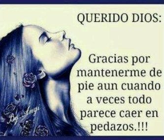 marisolcanelon1's profile picture. 