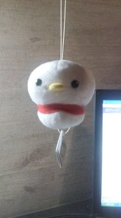 zZ2zZ7's profile picture. 