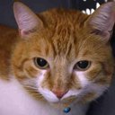 patsy michele fowler - @PatsyFowler - Twitter