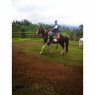Instagram: camarillorifa