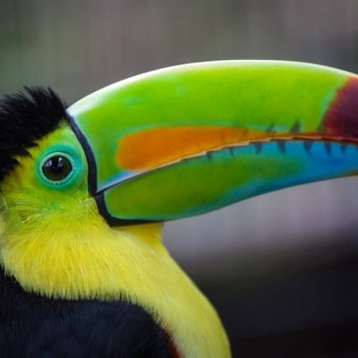 OddsWithWorld's profile picture. Tweets to make you think, smile, and wonder. Discover beyond your immediate horizons.