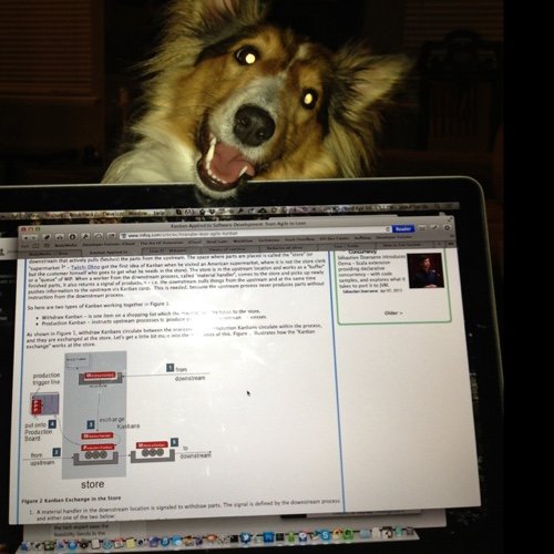 jaredremy's profile picture. The more you like yourself, the less you are like anyone else, which makes you unique.-Walt Disney