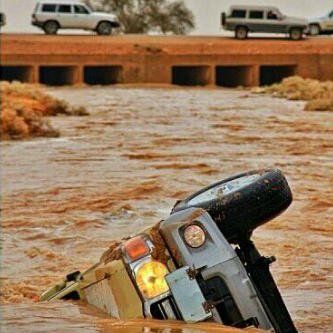 شاص#هايلوكس #ددسن~وبس