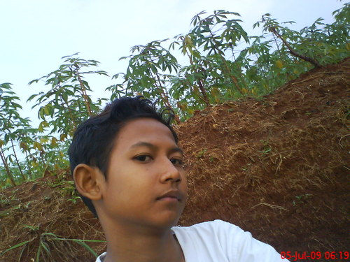 olinkres's profile picture. 