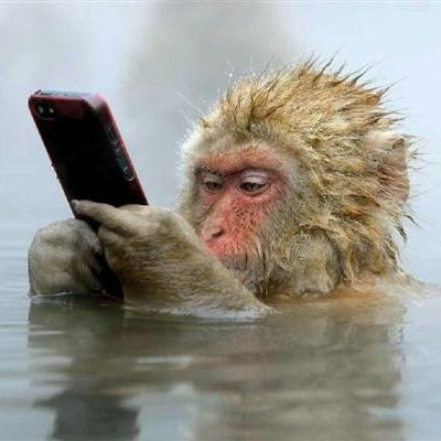daidaikkさんのプロフィール画像