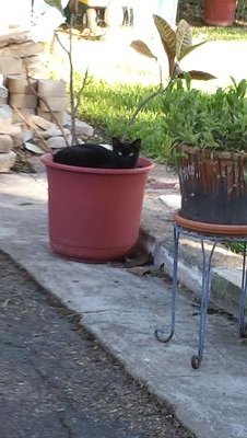 LSchag's profile picture. 