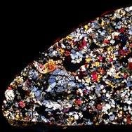 pljelli's profile picture. 