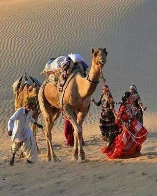 A suitable boy from Rajasthan