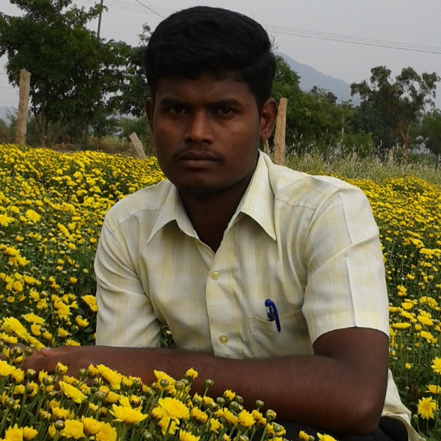 amulmessi's profile picture. 