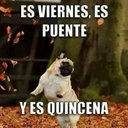 Ian Alejandro  - @IanAle316257 - Twitter