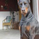 Steve Asbury - @steveandmistya1 - Twitter