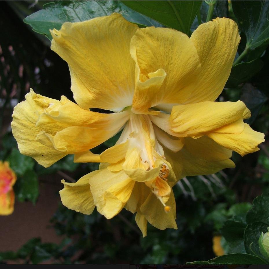 MurielWestmore's profile picture. 