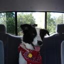 Lisa Denmark - @lldenmark - Twitter