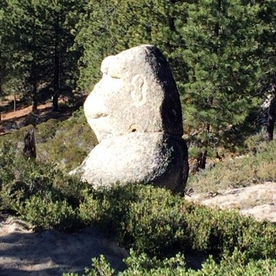 Aviator_1118's profile picture. 