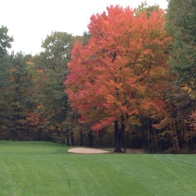 aaronmatu's profile picture. 