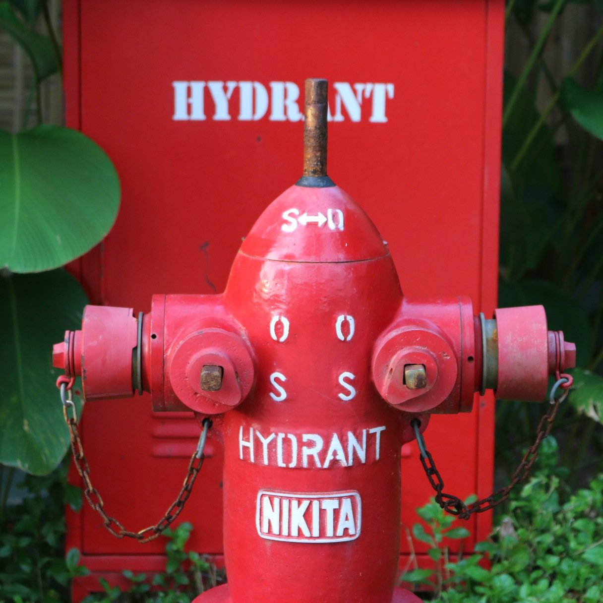 renaetawang's profile picture. 