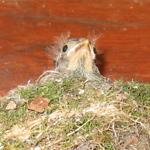 outstateWI's profile picture. just looking around, noticing stuff