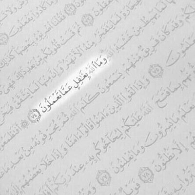 hastooree's profile picture. ، تابعني / اتابعك ،،،،، تحذفني أحذفك.