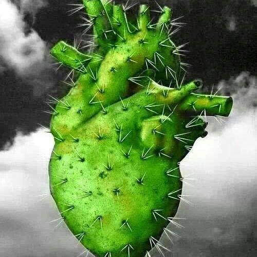 jaimehaydel's profile picture. 