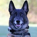 Jim Large - @jlargejr - Twitter